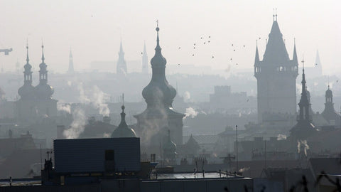 Jak se o 61% zbavit toxinů a jedů z těla? Vědecky podloženo